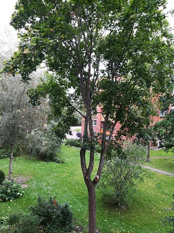Amber Apartamentai Druskininkai Dış mekan fotoğraf